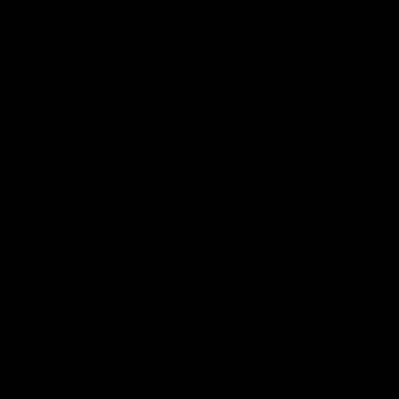 Meet your Posher, Liana - Picture 1 of 1